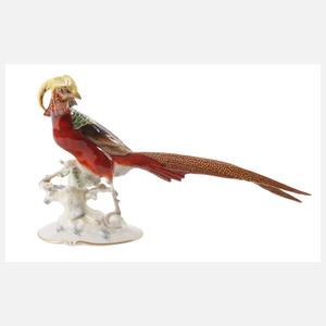 Hutschenreuther "Zierfasan"