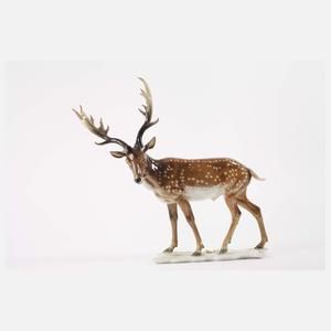 Hutschenreuther Familie Hirsch