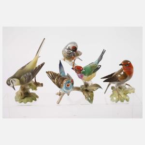 Hutschenreuther Konvolut Singvögel