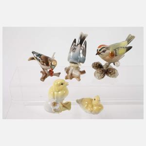 Hutschenreuther Konvolut Singvögel