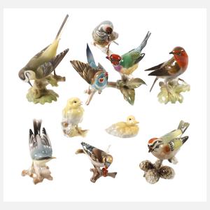 Hutschenreuther Konvolut Singvögel