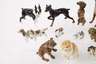 Hutschenreuther/Rosenthal Konvolut Hunde und Katzen