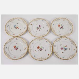 KPM Berlin zwölf Platzteller Blumen und Insekten