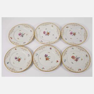 KPM Berlin zwölf Platzteller Blumen und Insekten