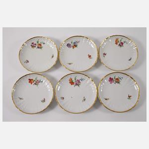 KPM Berlin zwölf Suppentassen Blumen und Insekten