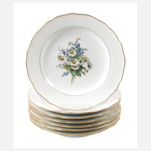 Meissen sieben Suppenteller "Frühlingsblume"