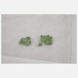 Meissen "Liebesgruppe mit Baum"