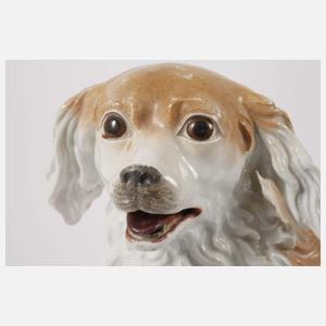 Meissen "Wachtelhund"