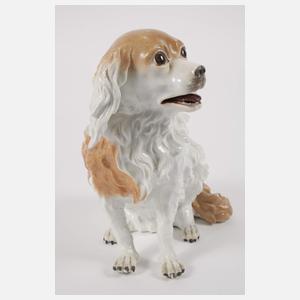 Meissen "Wachtelhund"