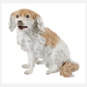 Meissen "Wachtelhund"