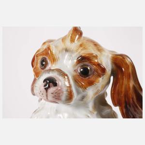 Meissen "Bologneser Hund, aufrecht"