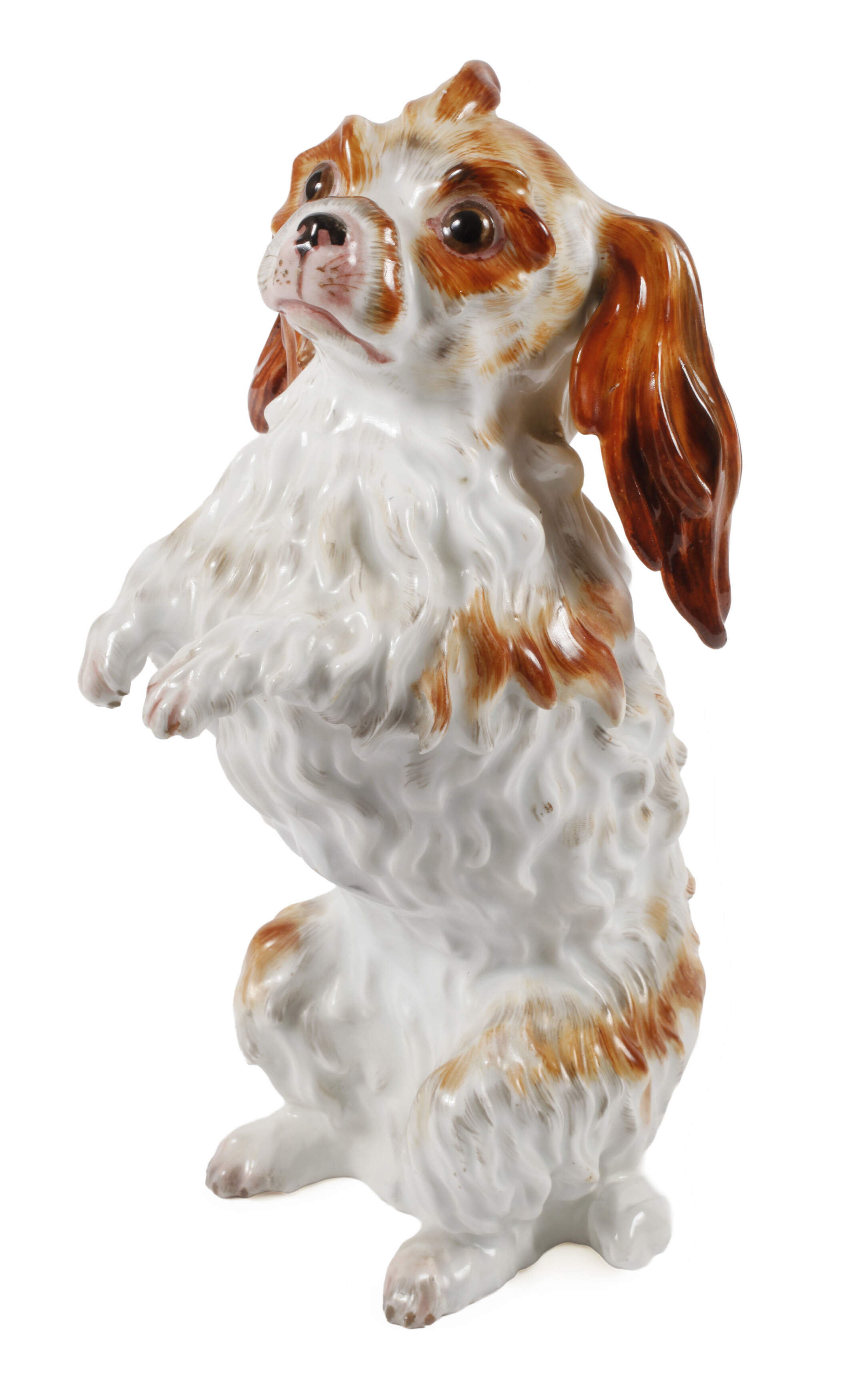 Meissen "Bologneser Hund, aufrecht"