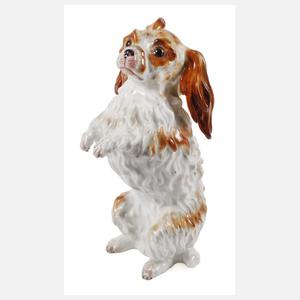 Meissen "Bologneser Hund, aufrecht"