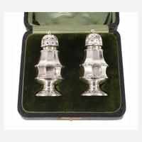 Paar Gewürzstreuer England111