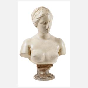 Büste einer Venus