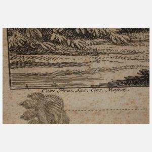 Johann Elias Ridinger, Bären reißen einen Hirsch