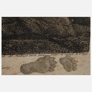 Johann Elias Ridinger, Bären reißen einen Hirsch