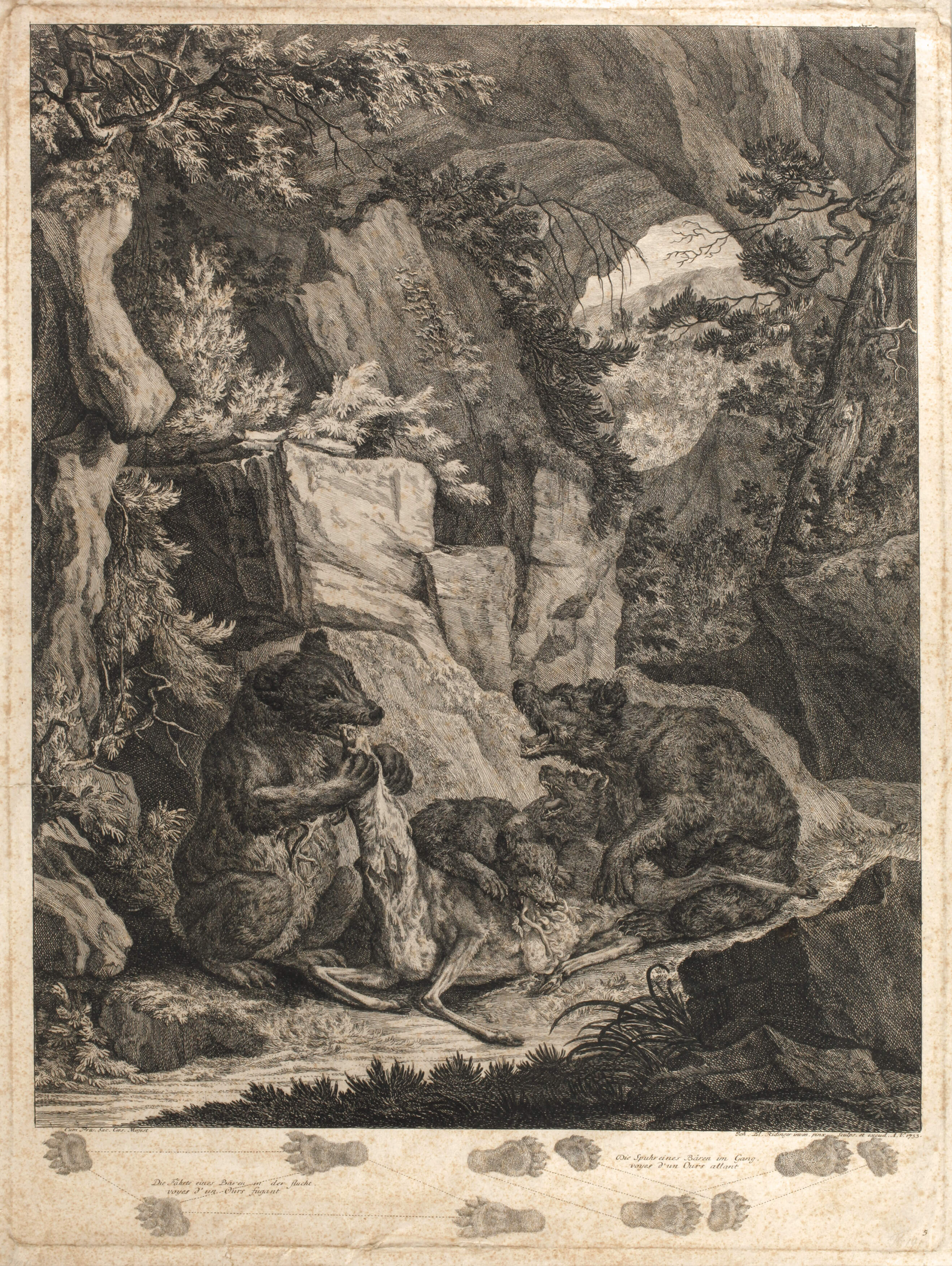 Johann Elias Ridinger, Bären reißen einen Hirsch
