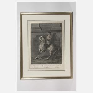 Johann Elias Ridinger, "Reitschule"