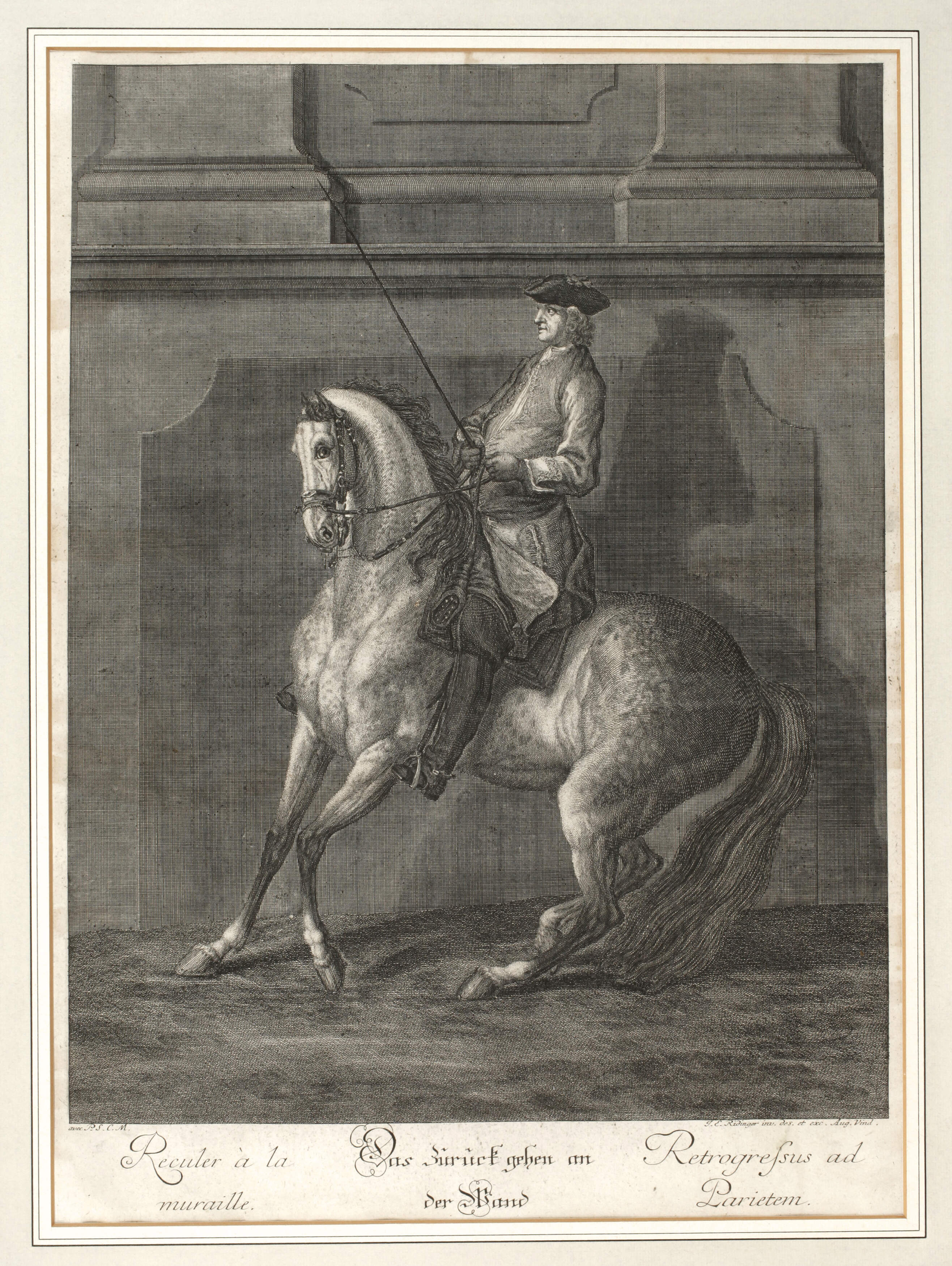 Johann Elias Ridinger, "Reitschule"