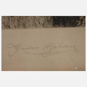 Theodor Alphons, Blick auf Salzburg