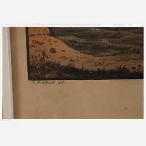 Joseph Steingrübl, Der Rheinfall von Schaffhausen