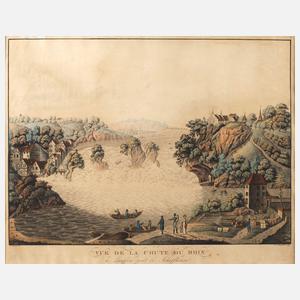 Joseph Steingrübl, Der Rheinfall von Schaffhausen