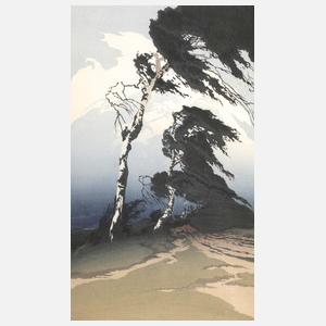 Oscar Droege, Birken im Sturm