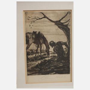 Alois Kolb, Zyklus zu "Bayard Balladenkranz"