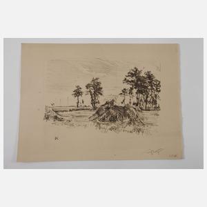 Heinrich Wolff, Graphikkonvolut