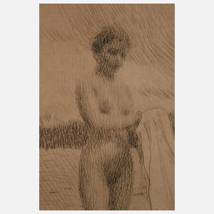 Anders Zorn, "Dalälven"