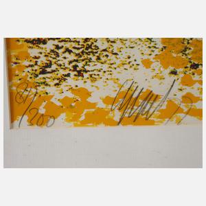 Karel Appel, Der Zauberer