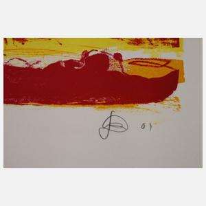 Daniel Richter, "Rasende Irre"