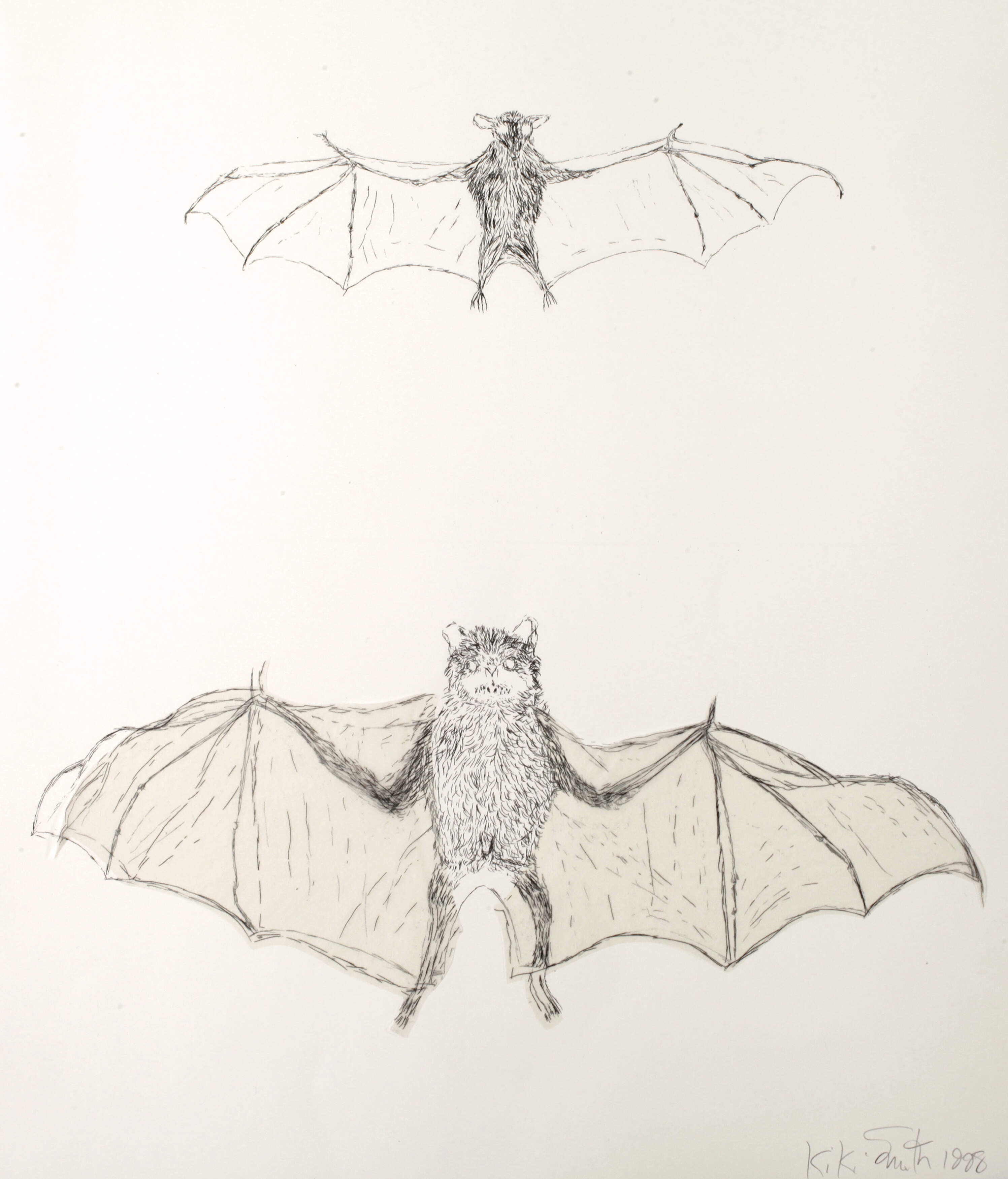 Kiki Smith, "Bat"