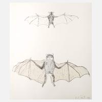 Kiki Smith, "Bat"111