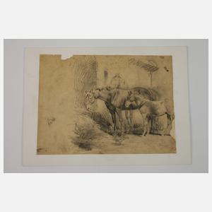 Albert Brendel, Konvolut Tierstudien