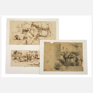 Albert Brendel, Konvolut Tierstudien