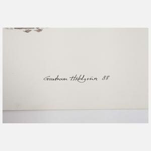 Gundram Holdgrün, Konvolut Vogeldarstellungen