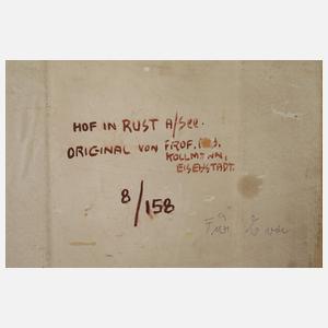 Albert Kollmann, "Hof in Rust"