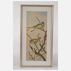 Friedrich Reimann, Zwei Vogeldarstellungen Frühling