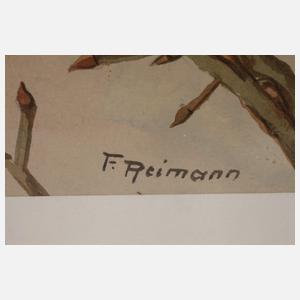 Friedrich Reimann, Zwei Vogeldarstellungen Frühling