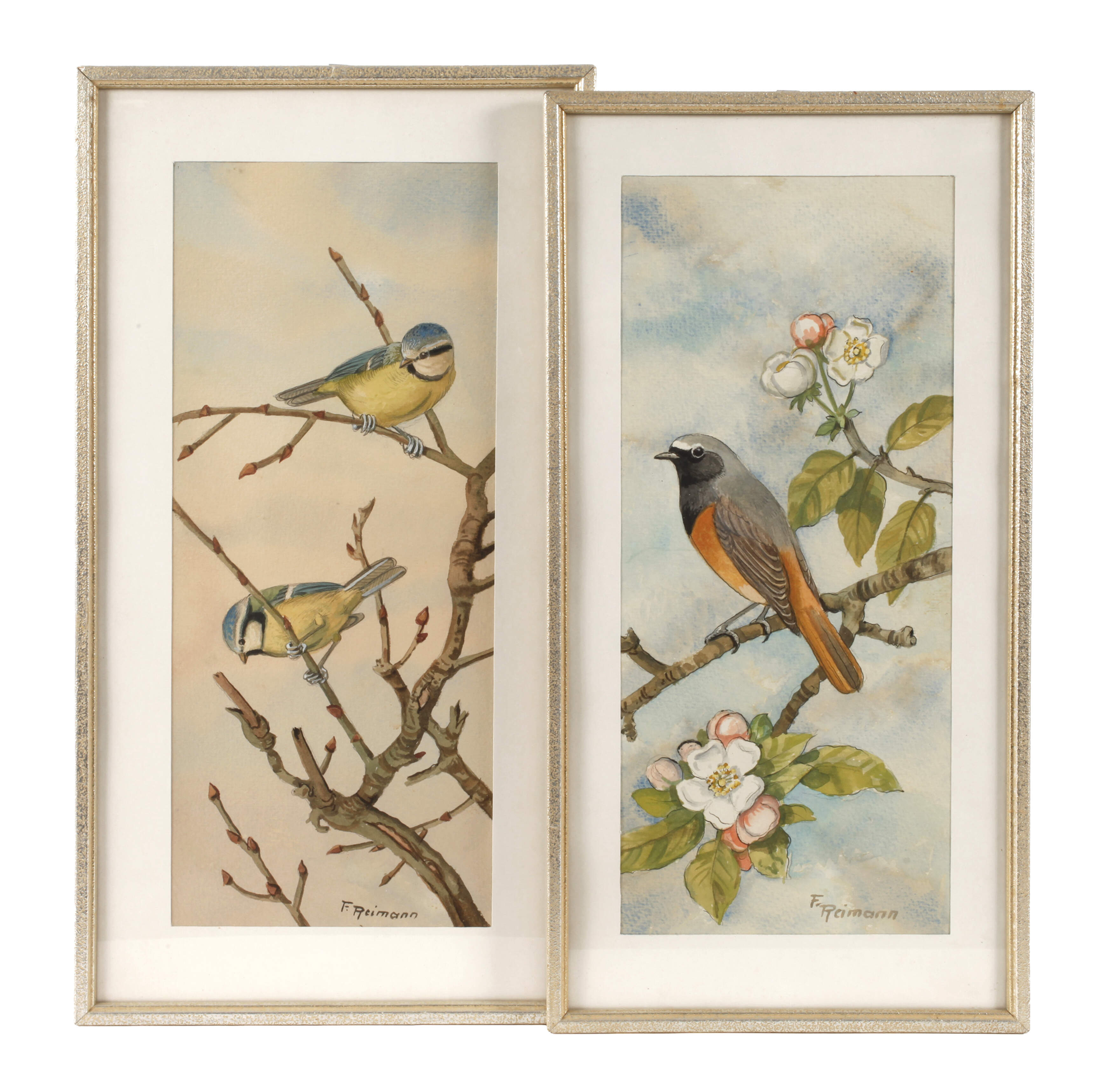 Friedrich Reimann, Zwei Vogeldarstellungen Frühling