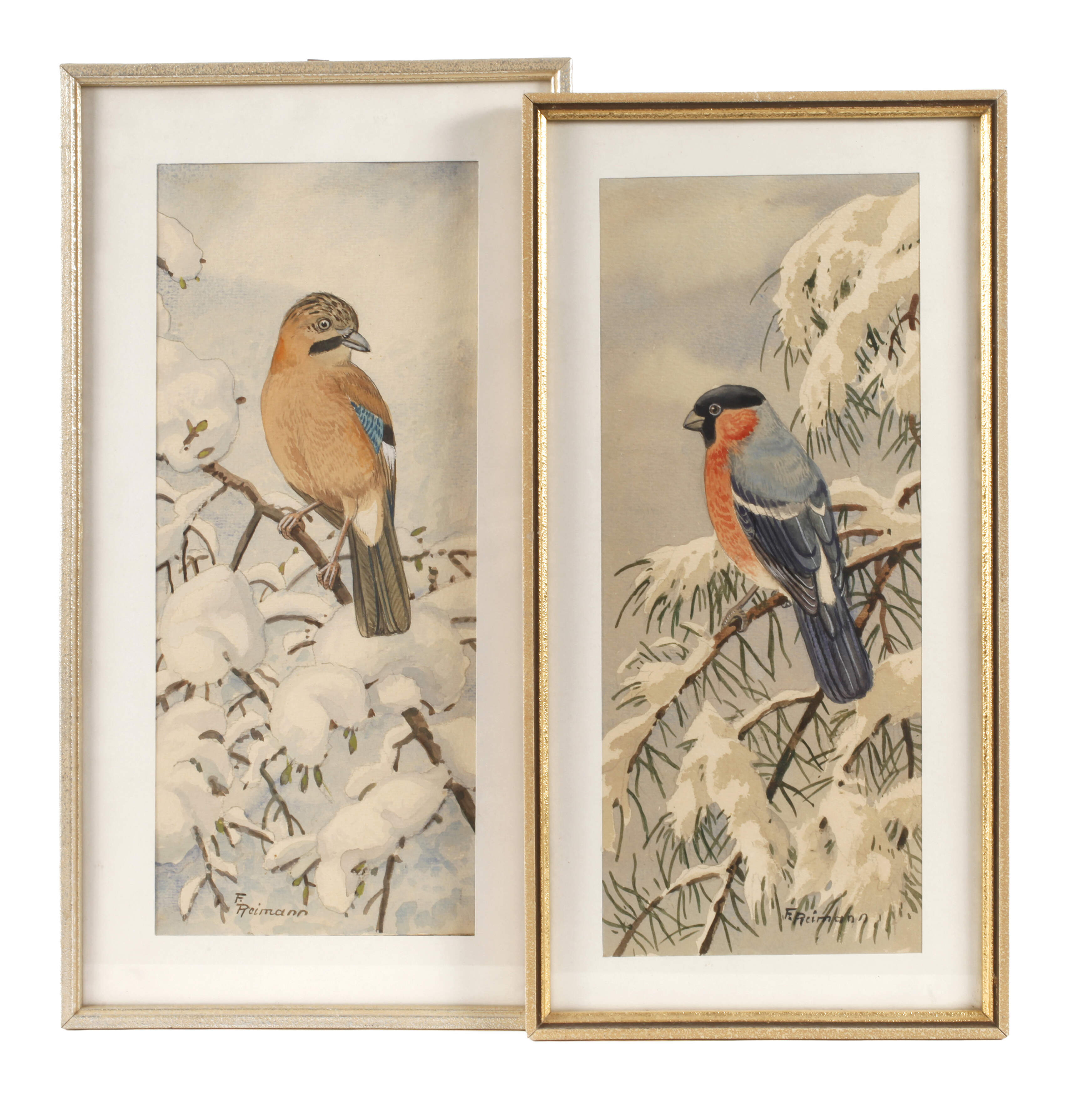 Friedrich Reimann, Eichelhäher und Gimpel im Winter