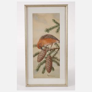 Friedrich Reimann, Zwei Vogeldarstellungen