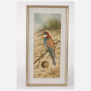 Friedrich Reimann, Zwei Vogeldarstellungen