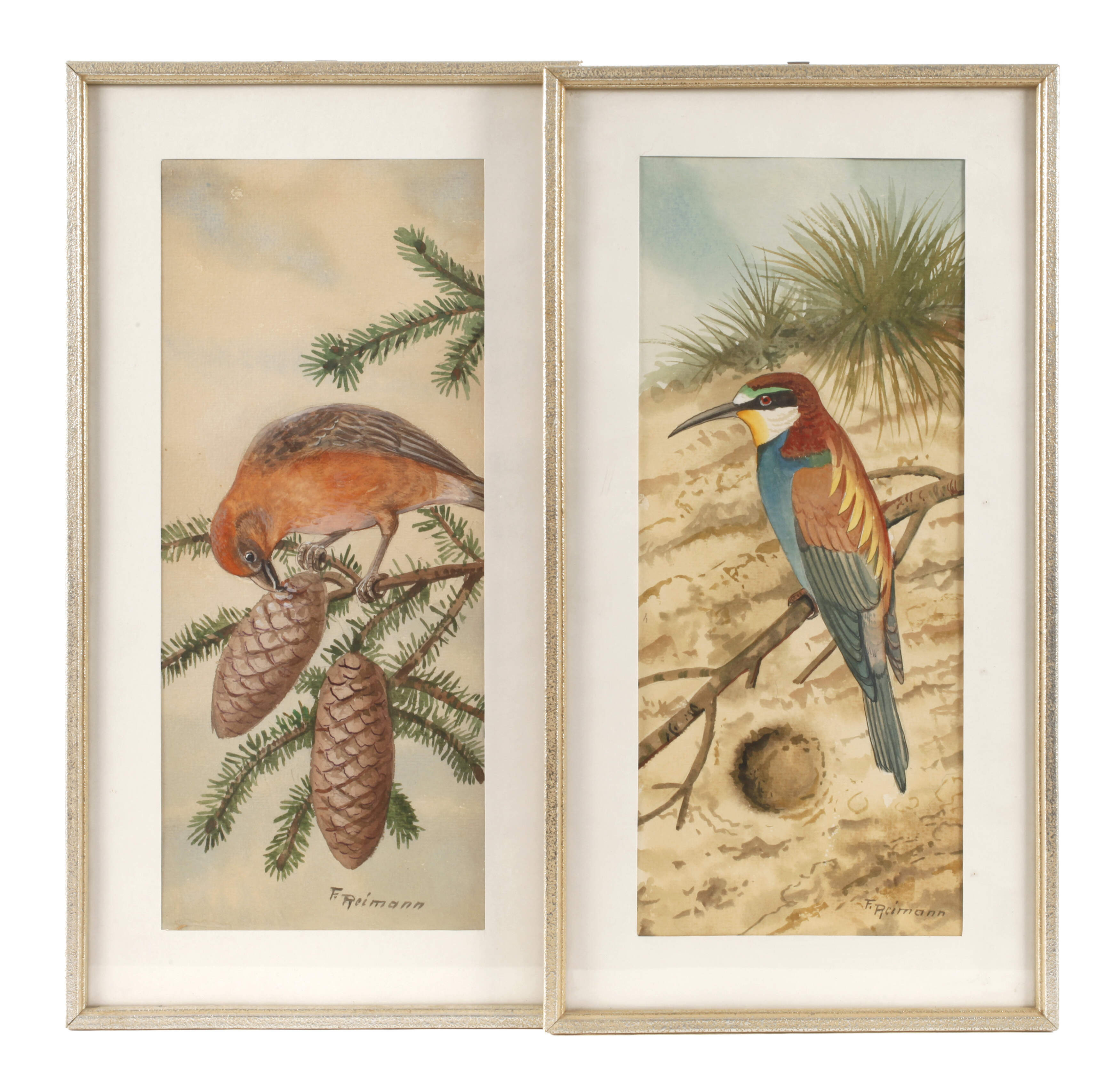 Friedrich Reimann, Zwei Vogeldarstellungen