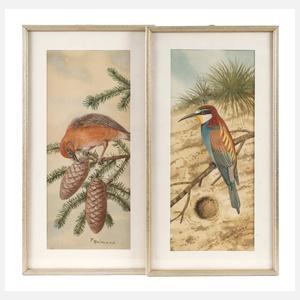 Friedrich Reimann, Zwei Vogeldarstellungen