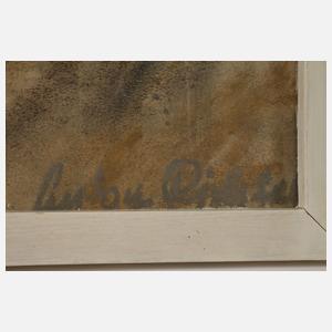 Anton Richter, Bei der Feldarbeit