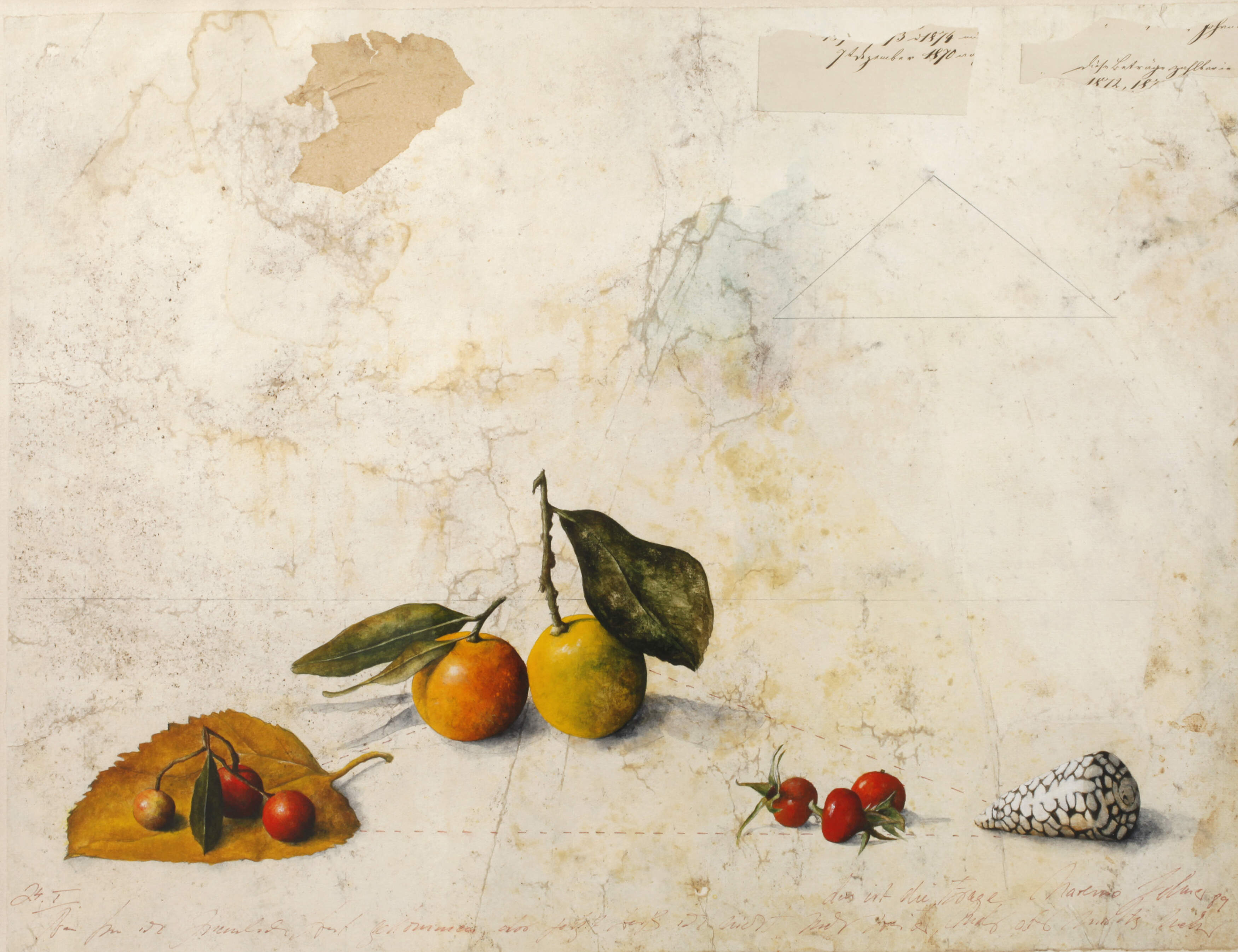 Wolfgang Zelmer, "Gruppierung II."