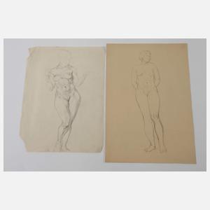 Konvolut Aktdarstellungen